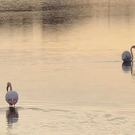 Barcaresa-la Perle Vue Pieds Dans L'eau Clim Wifi * Leucate