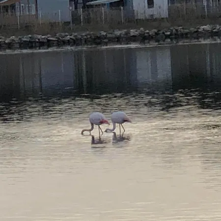 Semesterbostad Barcaresa-la Perle Vue Pieds Dans L'eau Clim Wifi Leucate